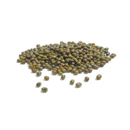 Soja verde o alubia Mungo