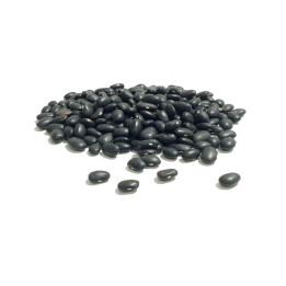 Alubia Frijol Negro
