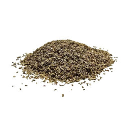 Menta Poleo