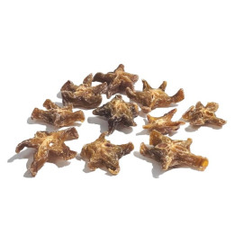 Carambola (Starfruit)